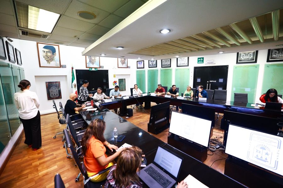 LEY ANTI OPOSICIÓN | Reforma fast track para eliminar a opositores “molestos” de los Cabildos
