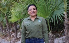 Conforman 4 Comités de Participación Social para supervisar obras del FAISMUN en Puerto Morelos