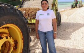 Mantiene Blanca Merari acciones para el combate al sargazo en playas de Puerto Morelos