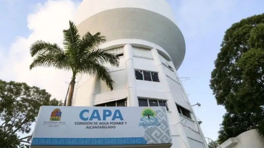 Sentencia de amparo relacionada con el Ejido Alfredo V. Bonfil se encuentra en vías de cumplimiento, informa CAPA