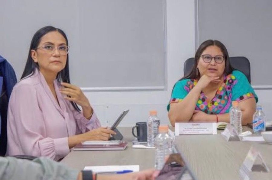 EXPECTATIVA EN QROO | MORENA reinicia nombramiento de candidatos a las gubernaturas; van Guerrero y Michoacán