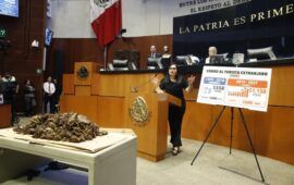 Mayuli lleva sargazo al Senado y exige recursos para atender la crisis en Quintana Roo