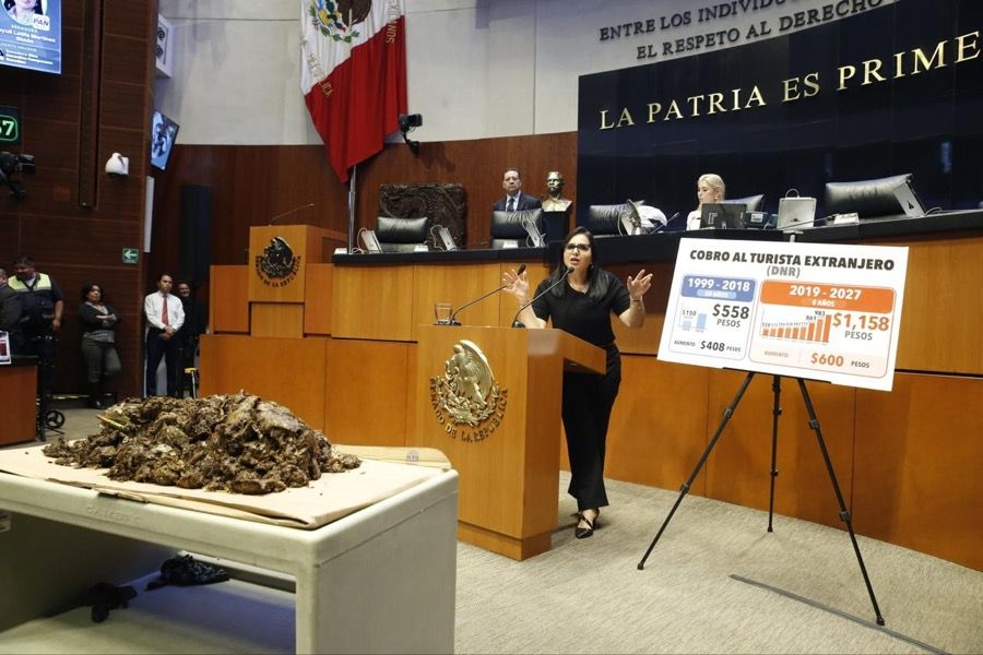Mayuli lleva sargazo al Senado y exige recursos para atender la crisis en Quintana Roo